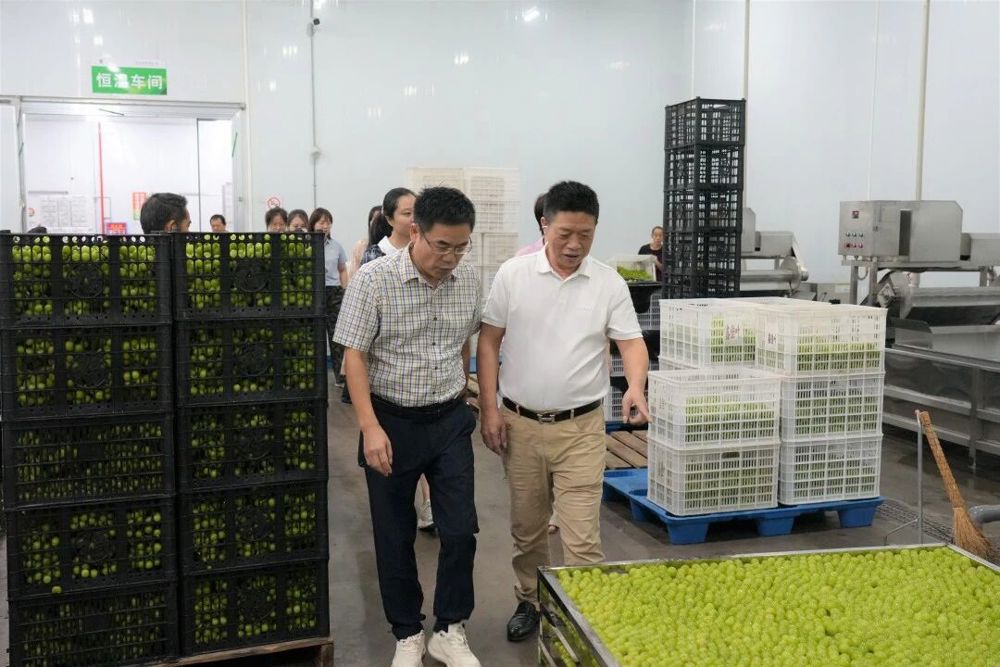 倾听民声促发展  问计问需护成长——澧县人民检察院检察长提名人选熊建军走访省人大代表